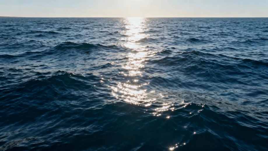 Our Oceans Are Secretly Swallowing Carbon to Save Us All!